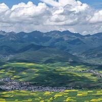 Feeling the pulse of rural revitalization in NW China's plateau villages