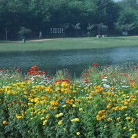 Delhi's Yamuna Riverfront becomes Venue as Asita Park now open for Public Bookings
