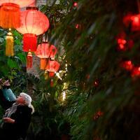Feature: Chinese Spring Festival gains traction in Russian universities