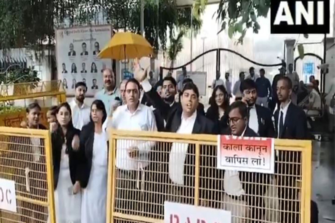 Delhi lawyers protest LG Saxena's notification allowing police to depose via video conferencing from police station