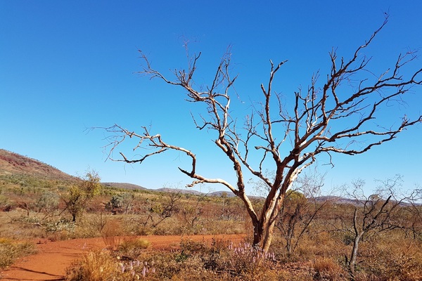 WA government puts up funds to speed up project approvals