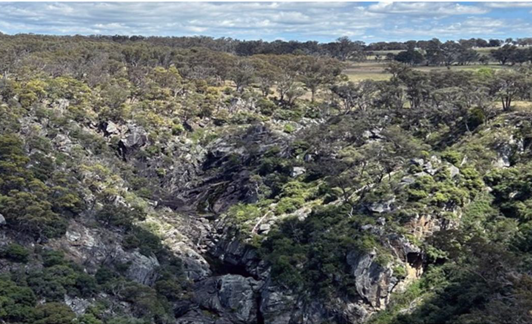 Thunderbird hyped for new NSW gold target