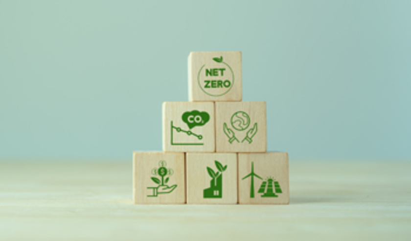 Navigating the path to net zero