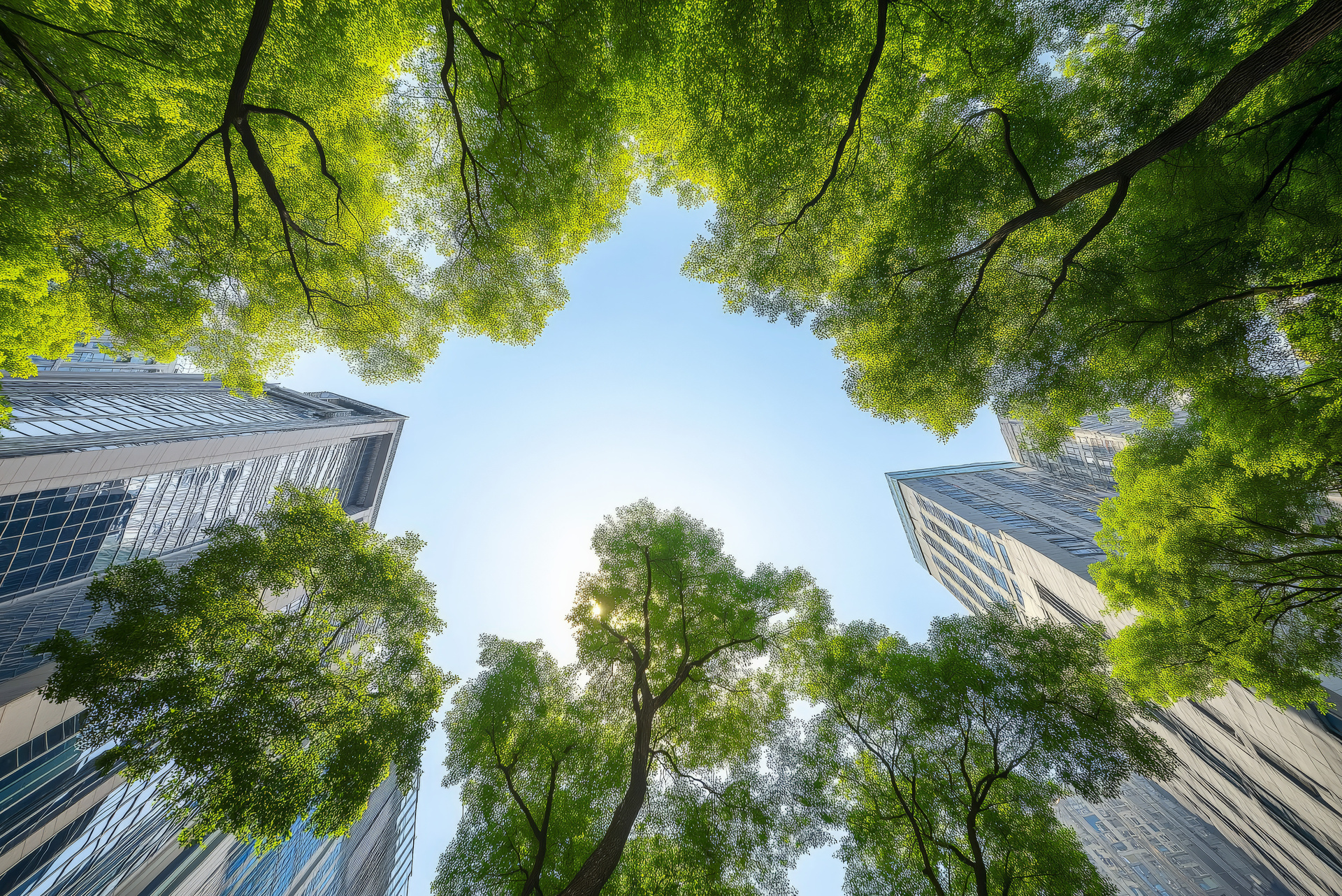 From risk to reward: How UK businesses are building resilience to deliver long-term value