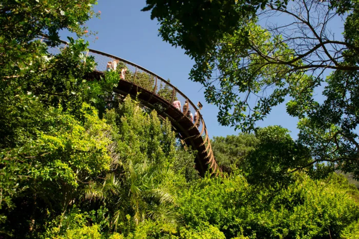 Kirstenbosch Named Among Worlds Top Gardens- A Blooming Victory for the Western Cape
