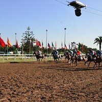 17 horses set to compete for UAE President's Cup Title tomorrow in Morocco