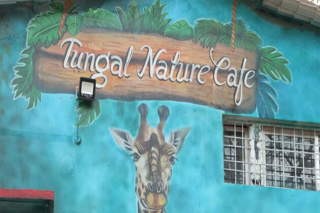 Brewing change in Bastar: Former women Naxals begin new life at Sukma's Tungal Natures Cafe