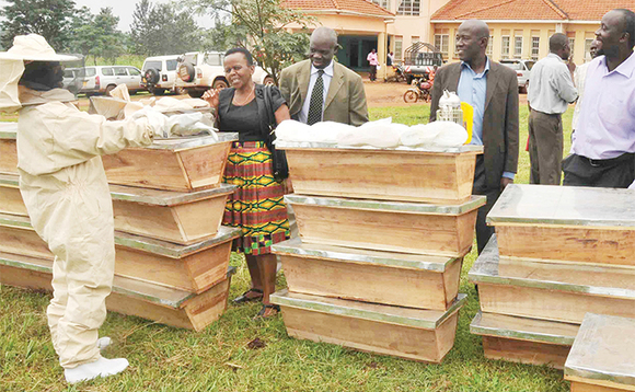 Omulunzi w’enjuki (eyeekapise ku kkono) ng’akwasibwa enjuki ezaabaweereddwa Omulunzi w’enjuki (eyeekapise ku kkono) ng’akwasibwa enjuki ezaabaweereddwa