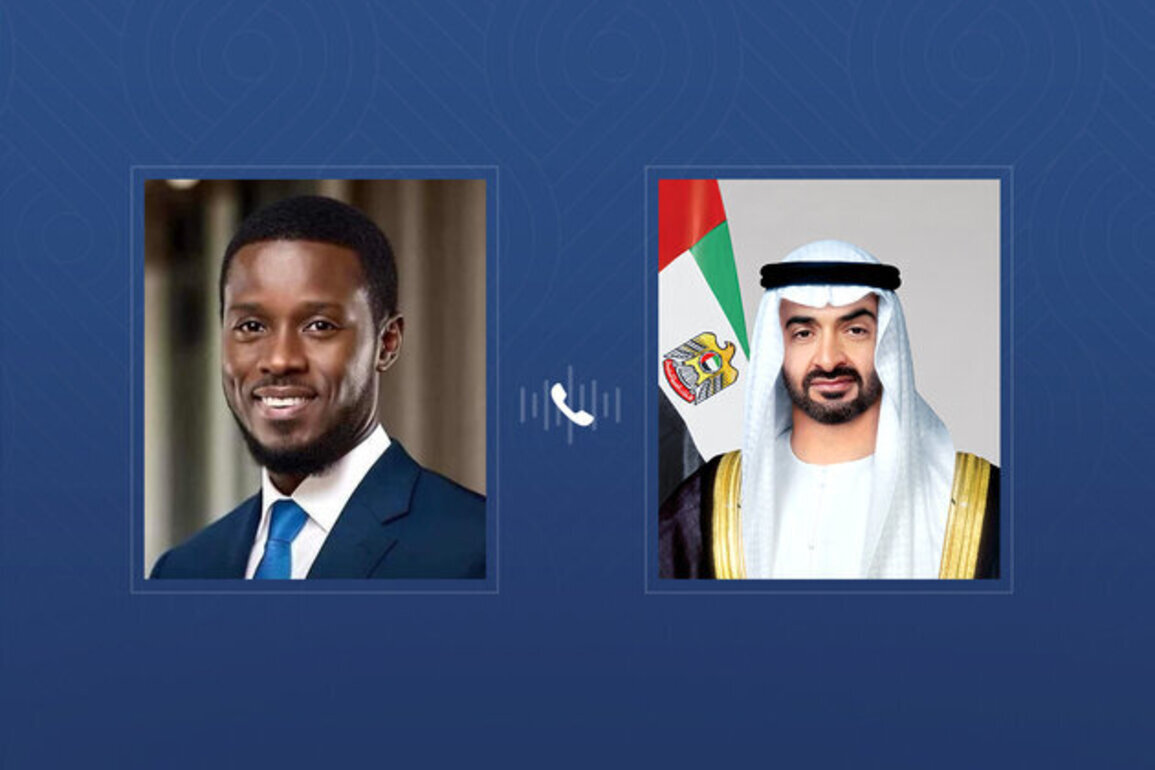 In phone call with UAE President, Senegalese President expresses solidarity with UAE following Iranian attacks