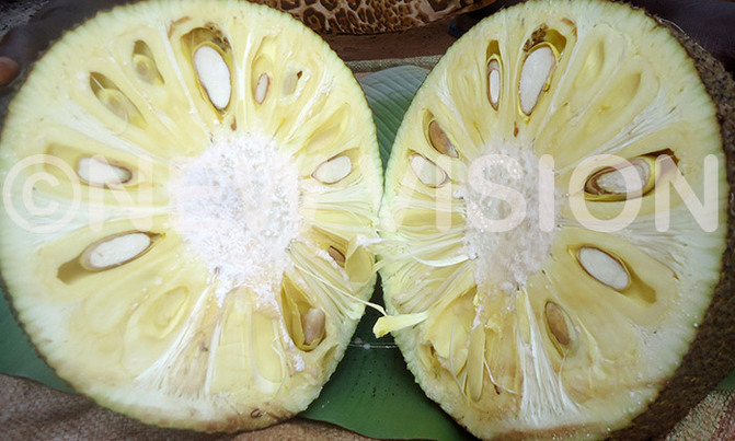 Fruits good on empty stomach Fruits good on empty stomach