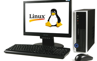 How Linux became the enterprise's bedrock
