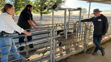 Members of the project team conducting initial system testing at CSIRO's Chiswick Research Station, Armidale, NSW. 