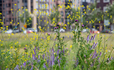 Biodiversity Net Gain: Defra confirms new 'nature positive' rules for developers