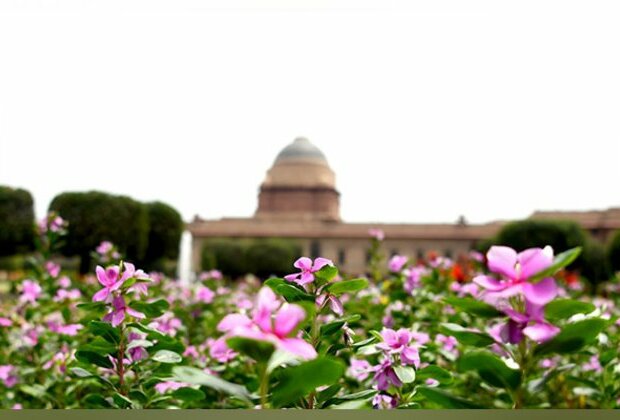 Amrit Udyan of Rashtrapati Bhavan to open for public from Feb 2