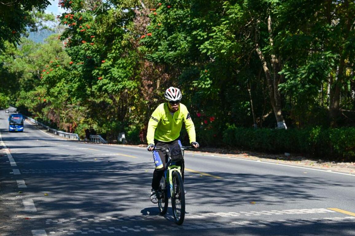 China's bike output posts steady growth in 2024