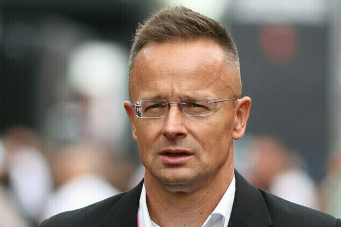 Hungary accuses Polish PM of defending terrorists
