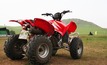 From the Editor: quad bike safety