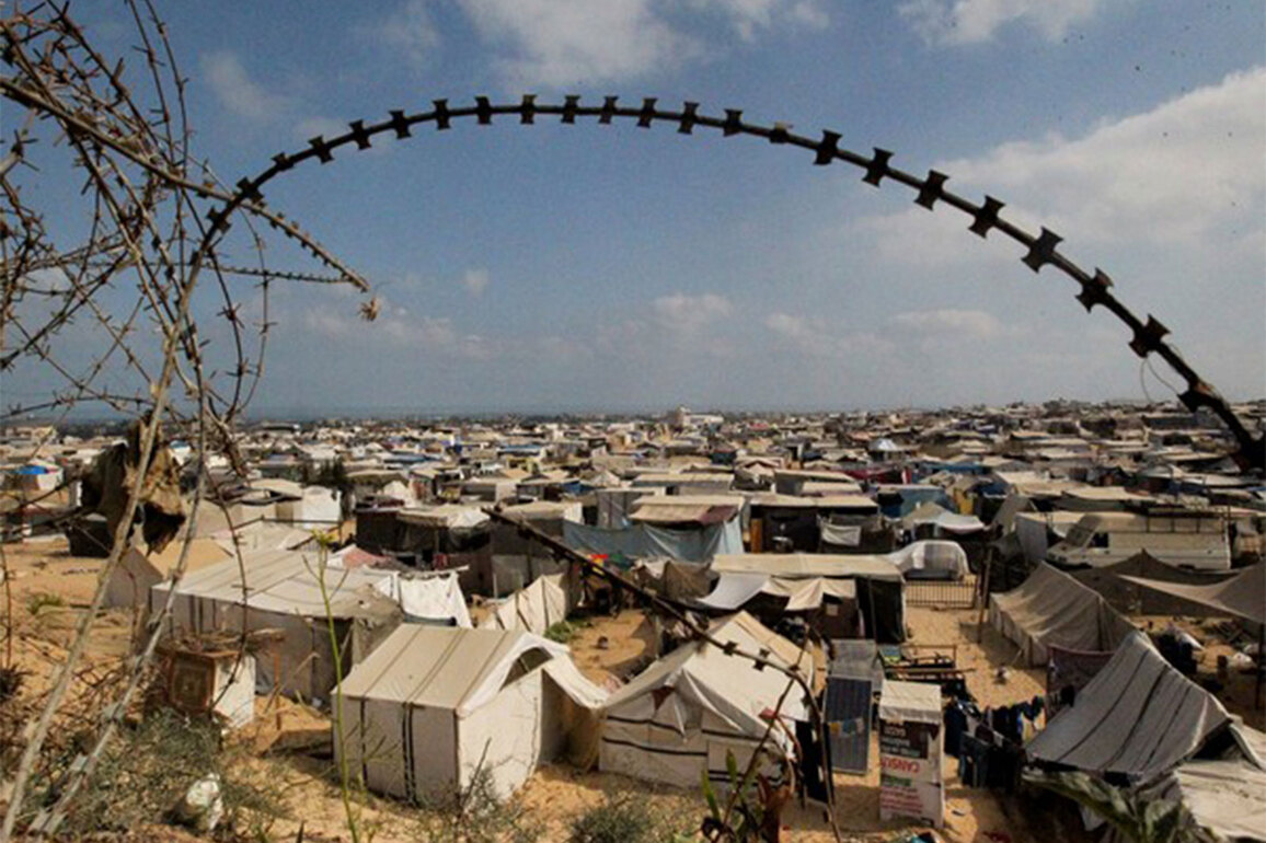 Gaza: Thousands displaced daily as Israel steps up bombardment