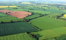 Number of English farms down a quarter since 2005