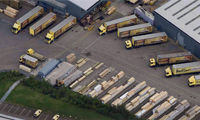 Timber giant branches out 