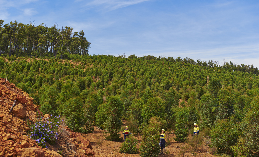 One of Alcoa’s mine areas, where rehabilitation works are taking place.