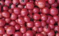 100% British ketchup created after Clarkson's Farm highlights gap in the market