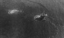  Santa Barbara oil spill in 1969.