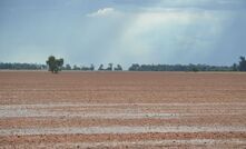 Rain has provided a favourable beginning to the season in multiple regions across Australia. 