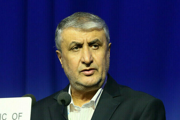 Iran to follow own nuclear path  top energy official