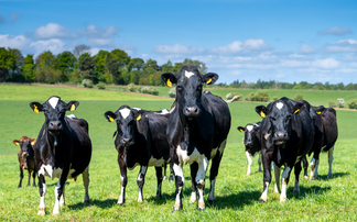 Partner Insight: Date and records - Your allies in udder health management 