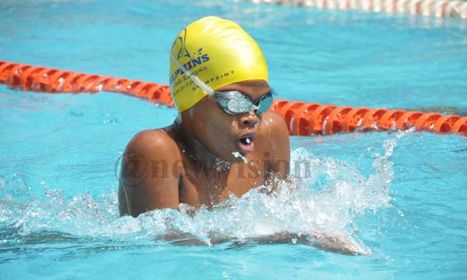 Chameleon's son Abba continues his steady rise in swimming Chameleon's son Abba continues his steady rise in swimming