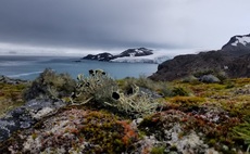 First continent-wide survey of Antarctic plant life to inform 'more targeted' conservation