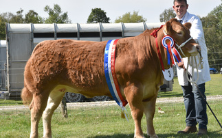 Commercial heifer claims supreme title at Hope Show