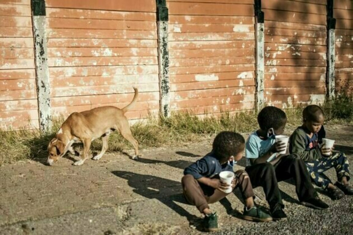 23% of South Africa's children suffer from severe hunger: we tested some solutions - experts