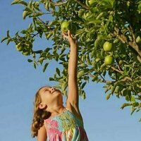 Should I limit how much fruit my child eats because it contains sugar?