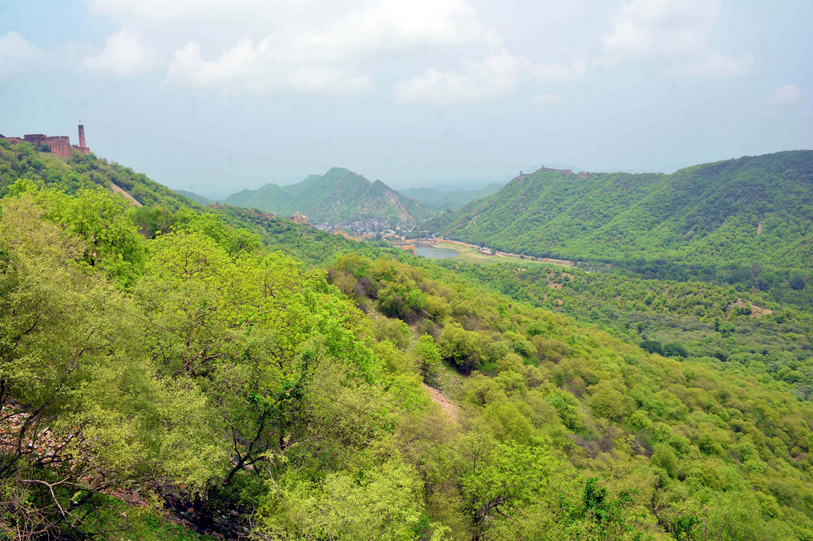FCA amendments safeguard standing forests, no opening for private exploitation: Environment Ministry