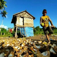 Nasib petani kecil di tengah perubahan iklim: Strategi bertahan dari Mentawai hingga Fakfak