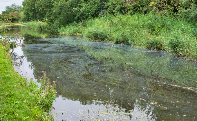 Surface pollution on the Leeds Liverpool Canal in Lancashire | Credit: iStock