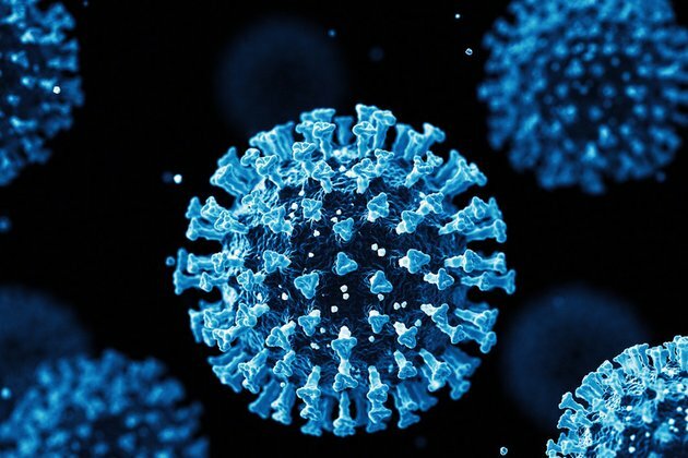 New coronavirus strain found
