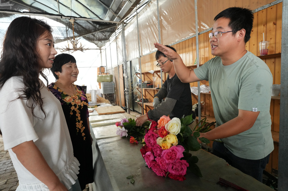 (ZhejiangPictorial)CHINA-ZHEJIANG-LONGYOU-CHINESE ROSE-INDUSTRY (CN)