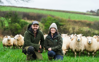 Rotational grazing and Lleyn sheep: A winning formula for Cornish farmers