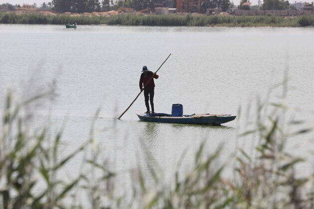 EGYPT-KAFR EL-SHEIKH-FIGHT DESERTIFICATION