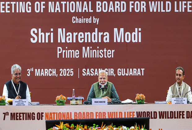 "Significant deliberations...": PM Modi after National Board for Wildlife meeting in Gir