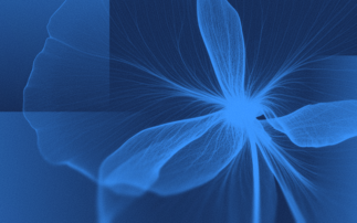 Partner Insight: Why research-powered solutions matter more than ever