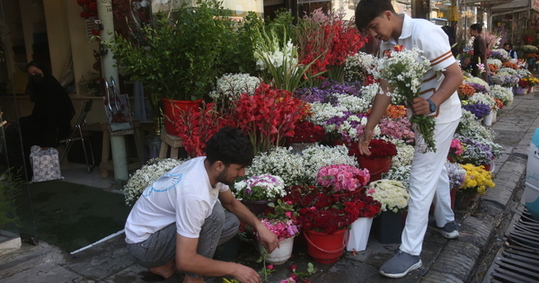 AFGHANISTAN-KABUL-FLOWER MARKET