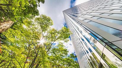 Three more BMF net zero carbon Business Champions announced