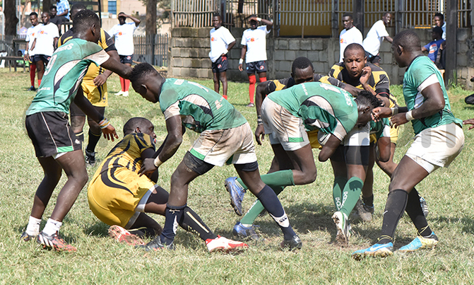 Heathens look to capitalise on Kobs' defeat Heathens look to capitalise on Kobs' defeat