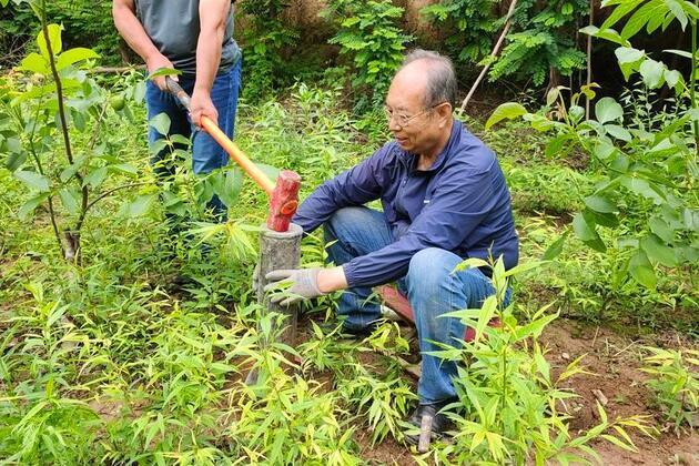 A silver-haired Chinese inventor's green innovations