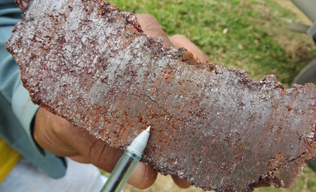 Amostra de minério de grafita