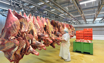 Future of British abattoirs in doubt following increases to food inspection charges